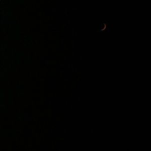 Meet your Posher, Zia